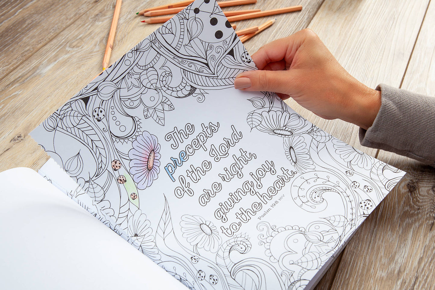 The Beloved Psalms (Coloring Book)