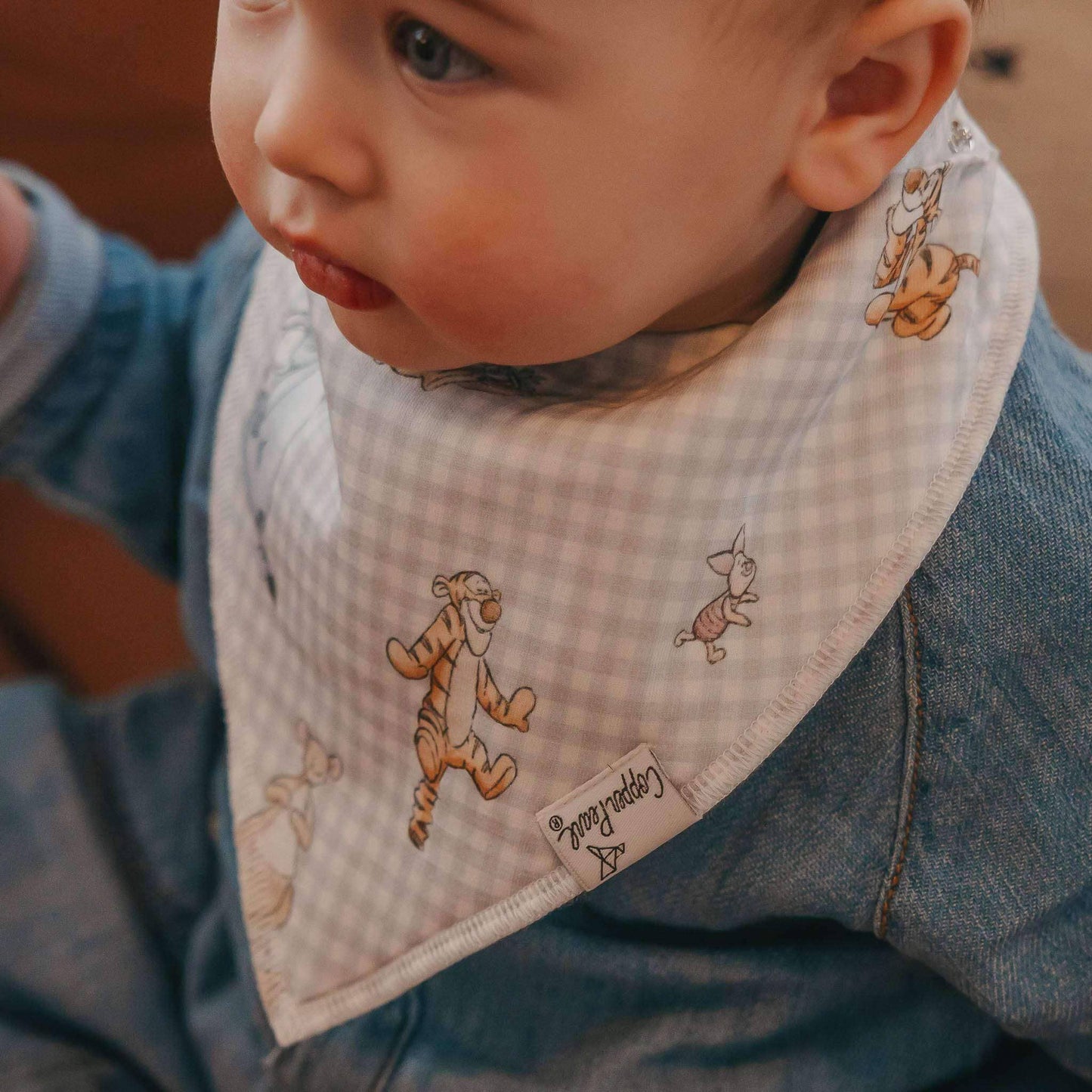 Baby Bandana Bib Set | Hundred Acre Wood