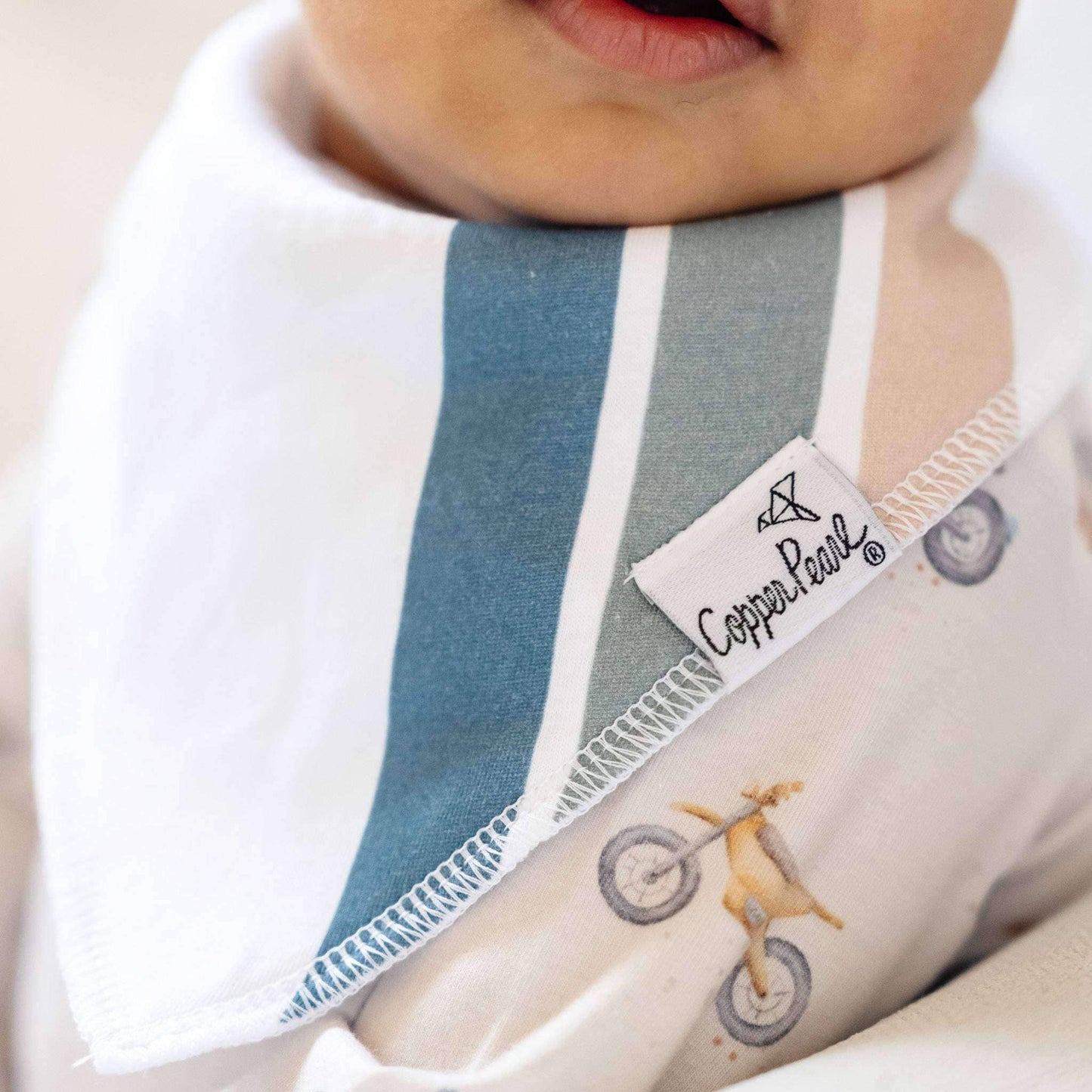 Bandana Bib Set | Ryder