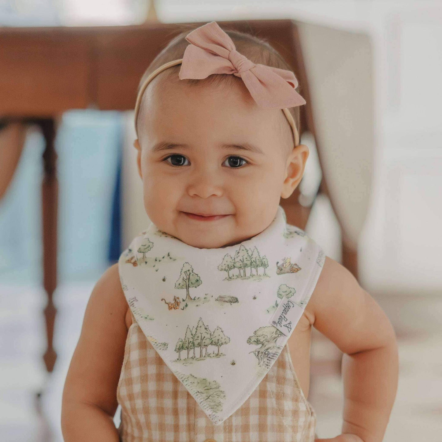 Baby Bandana Bib Set | Hundred Acre Wood