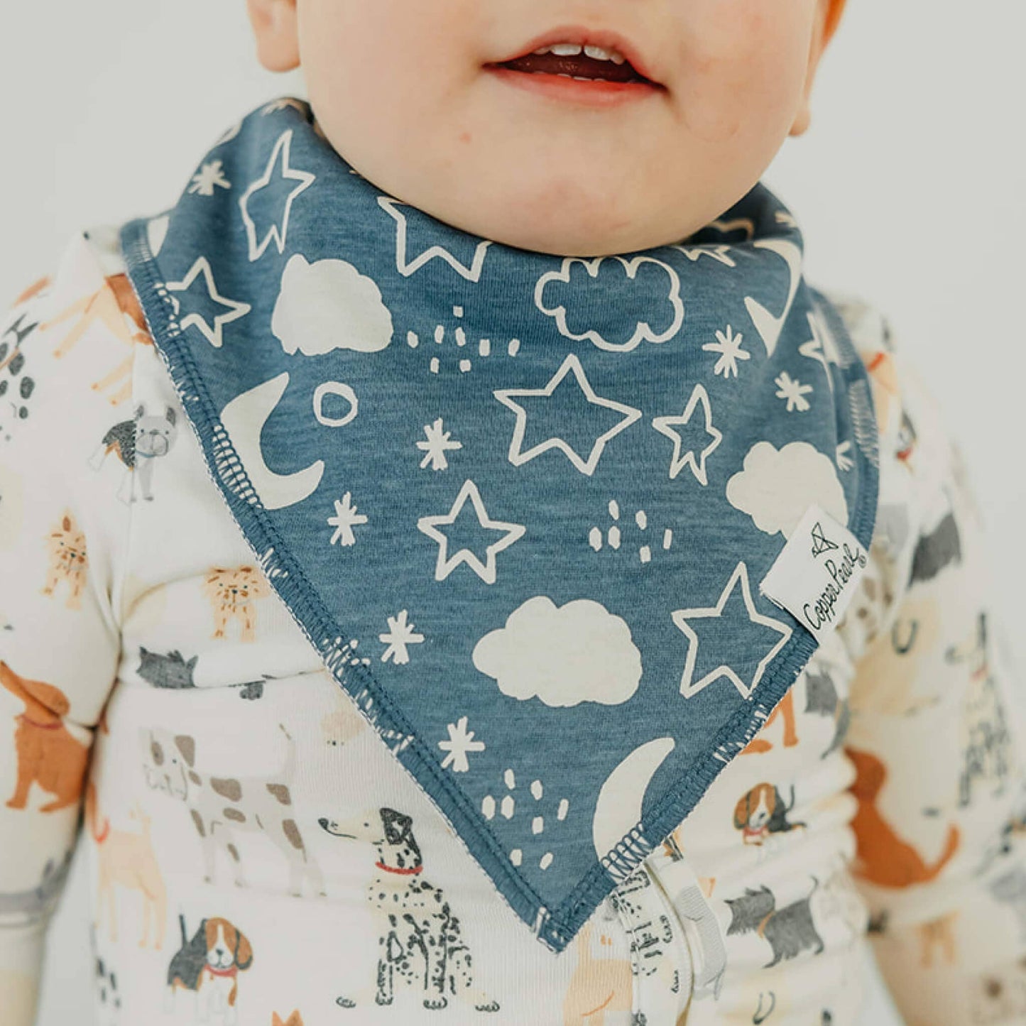Bandana Bib Set | Rufus
