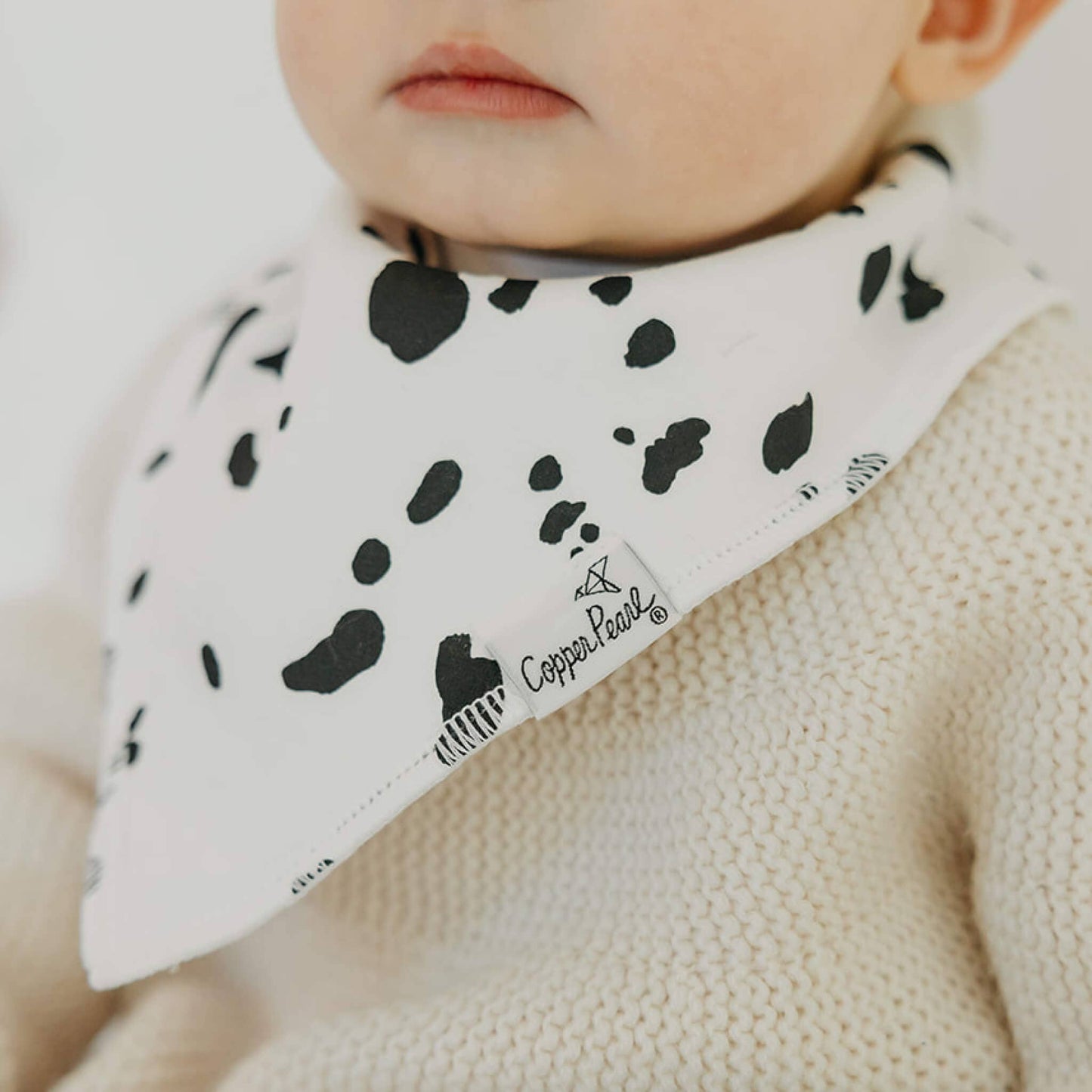 Bandana Bib Set | Rufus