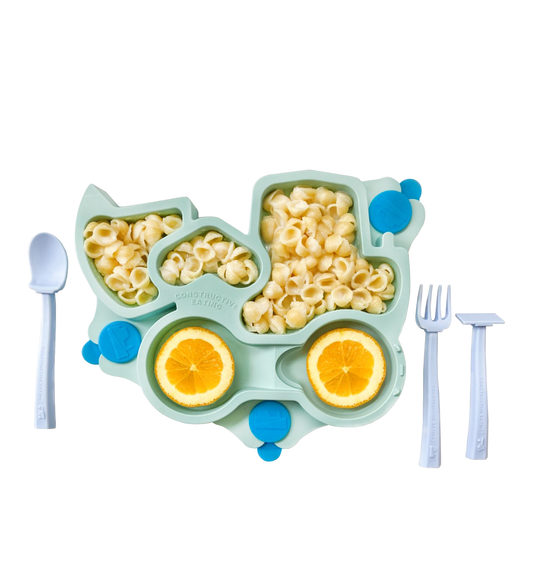 Truck Suction Plate and Training Utensils
