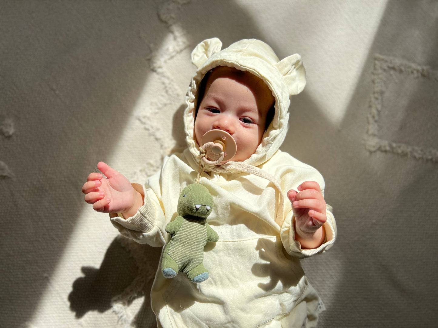 Bitzy Pal Pacifier & Stuffed Animal | Dino