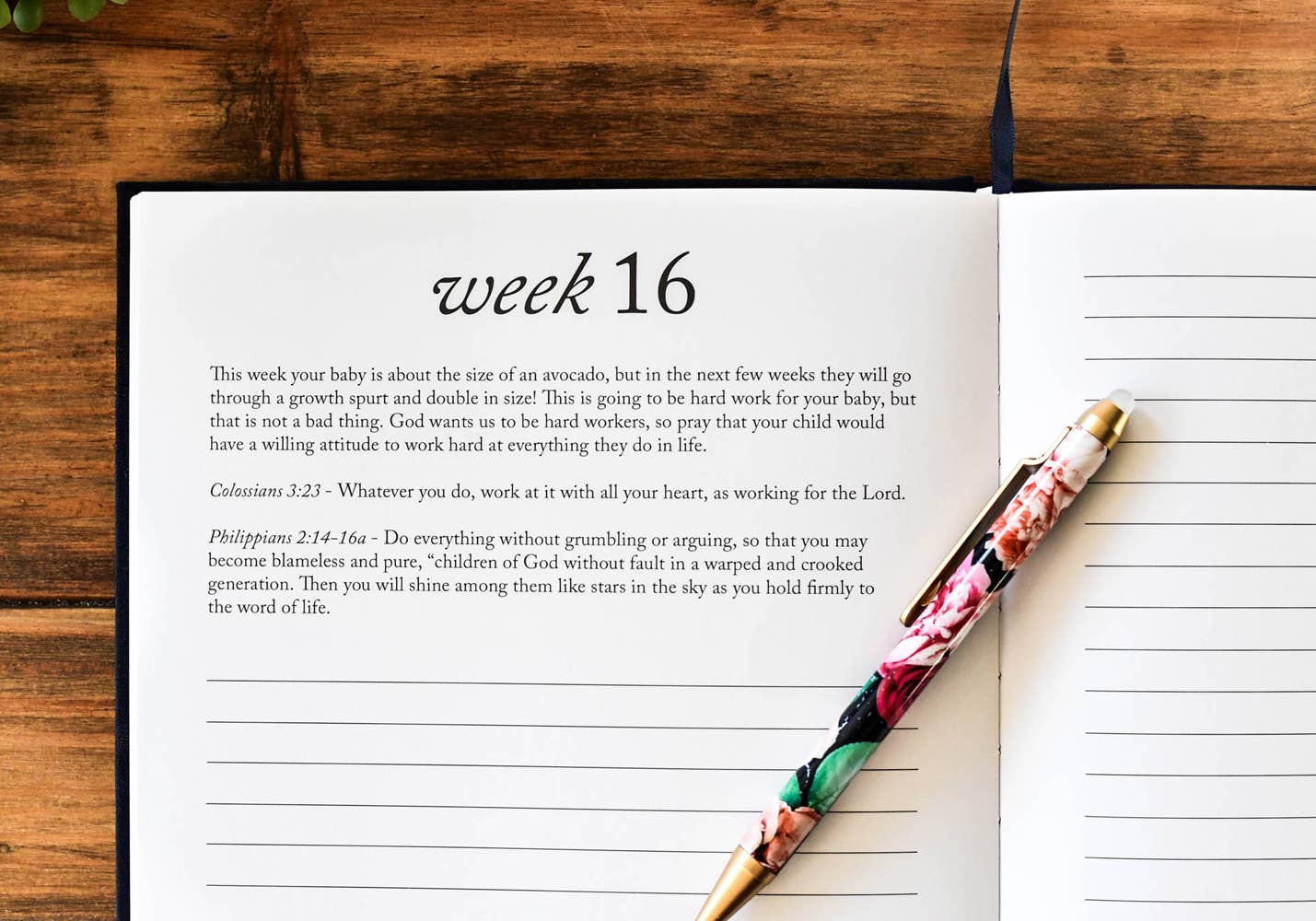 Dear Baby: A Pregnancy Prayer Journal & Memory Book for Moms