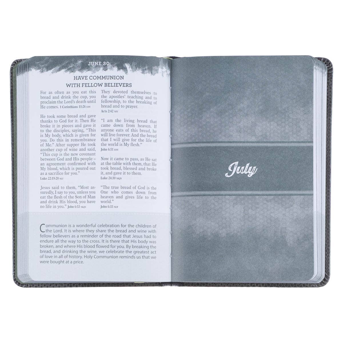 Pocket Bible Devotional for Guys