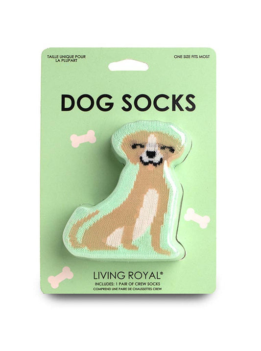 3D Packaged Crew Socks | Dog