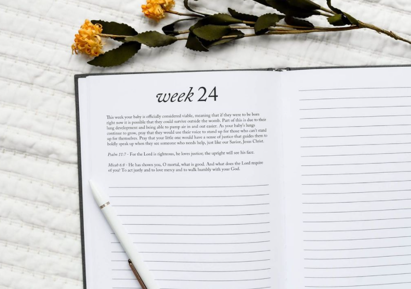 Dear Baby: A Pregnancy Prayer Journal & Memory Book for Moms