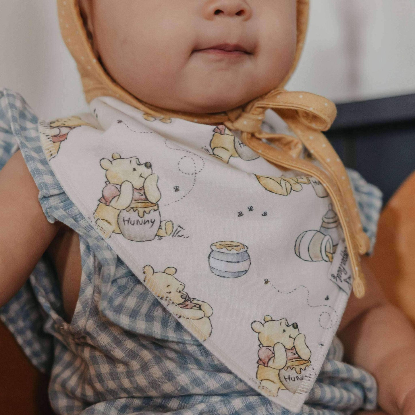 Baby Bandana Bib Set | Hundred Acre Wood
